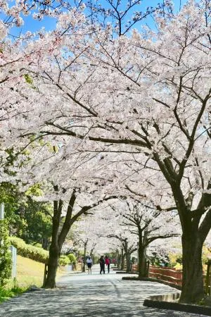 宇美公園