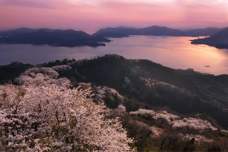 積善山展望台