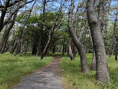 千本浜公園