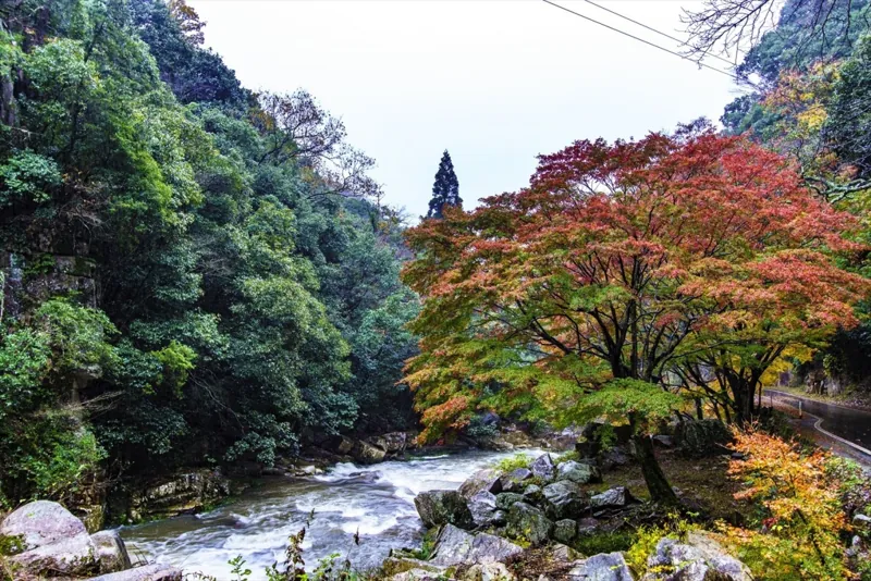 豪渓
