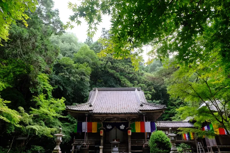 今高野山（龍華寺）