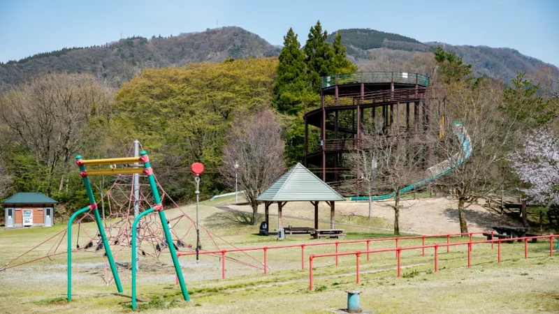 割山森林公園 天湖森 3