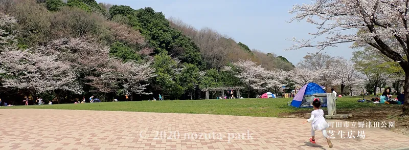 野津田公園 3