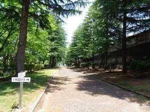 観音寺市総合運動公園 3