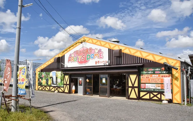 フルーツ童夢 やまだ農園