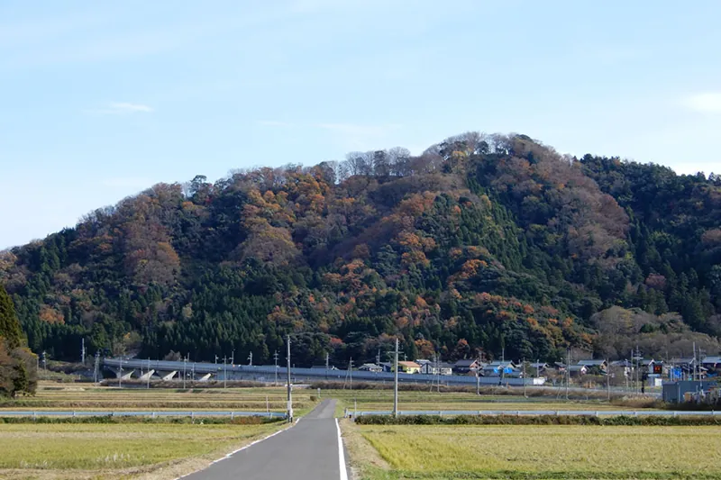 佐柿国吉城