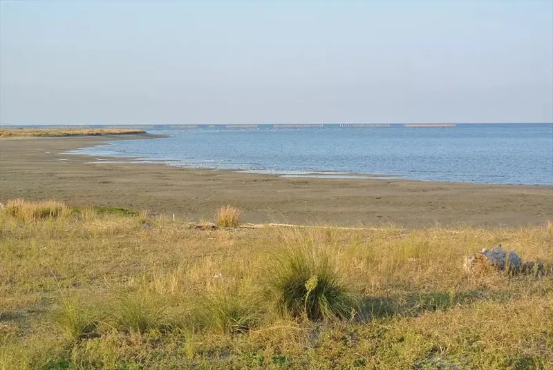松名瀬海水浴場 2