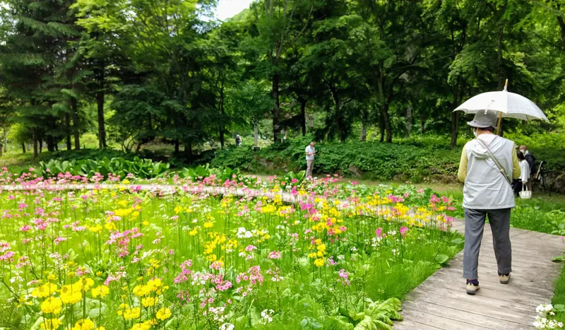 日光市上三依水生植物園 3