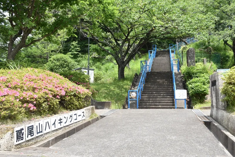 鳶尾山