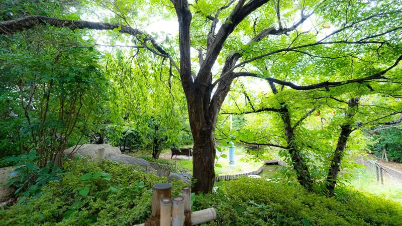 岡本南公園（桜守公園）