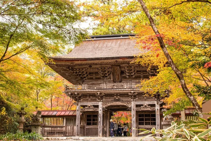 大矢田神社もみじ谷