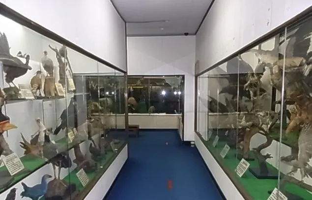 つやま自然のふしぎ館 2