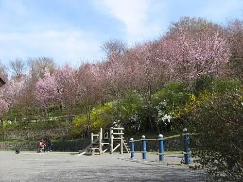 玄蕃山公園