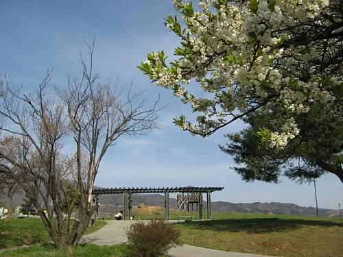 玄蕃山公園 2
