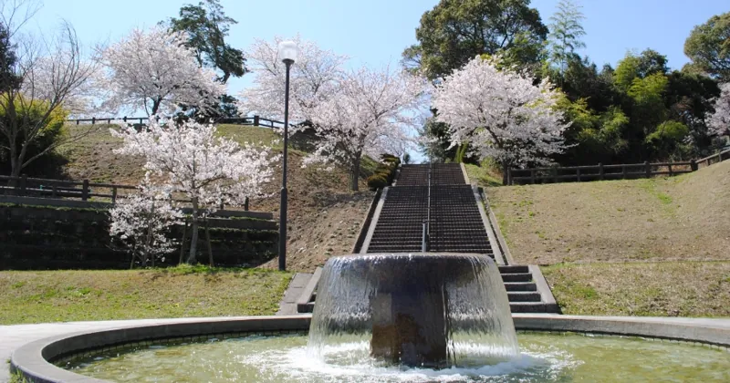 天仲寺公園