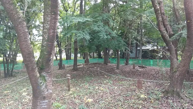 さくら運動公園 2