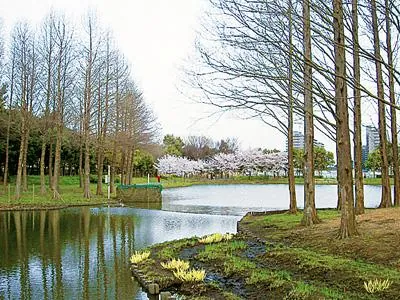 北本総合公園