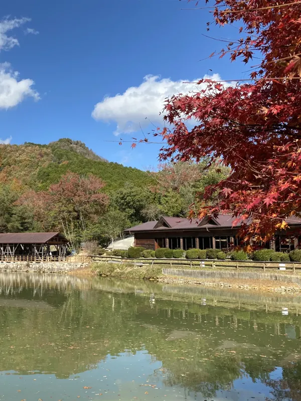 しい茸園 有馬富士