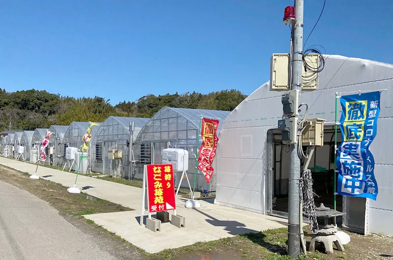 和苺苑（なごみ苺苑） 3