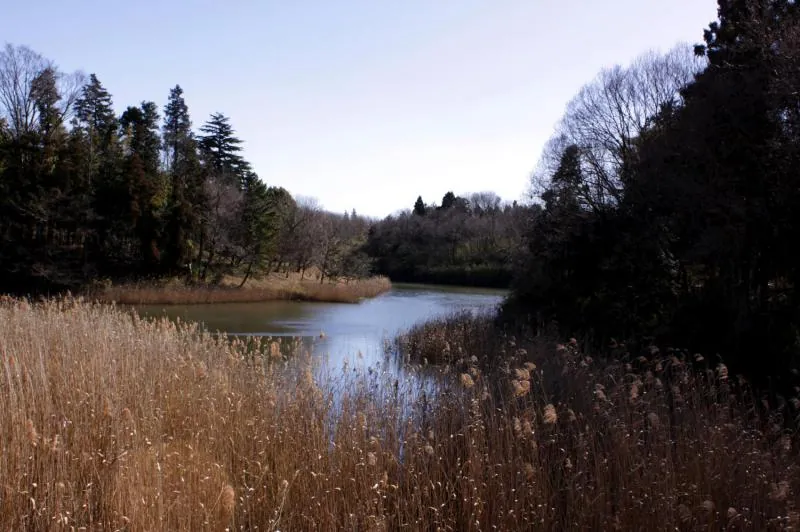 蛇沼公園