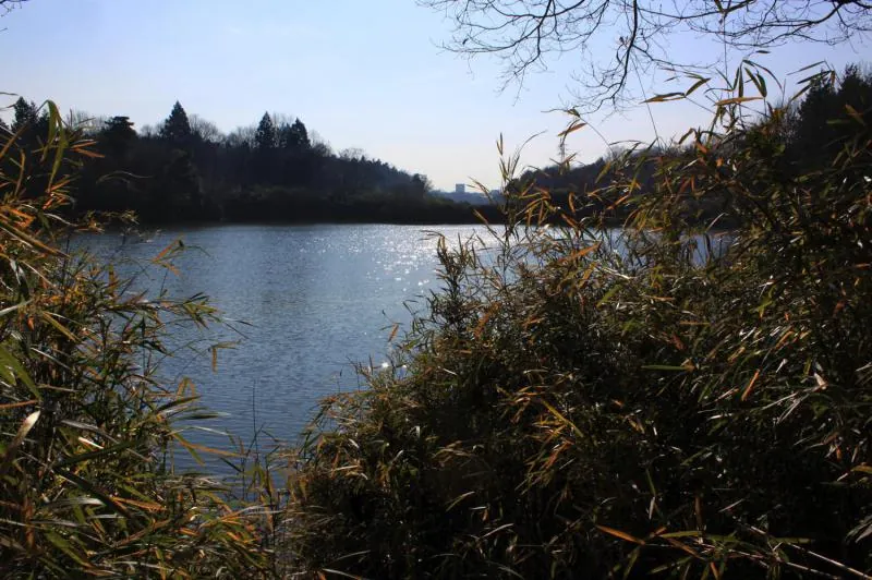 蛇沼公園 2
