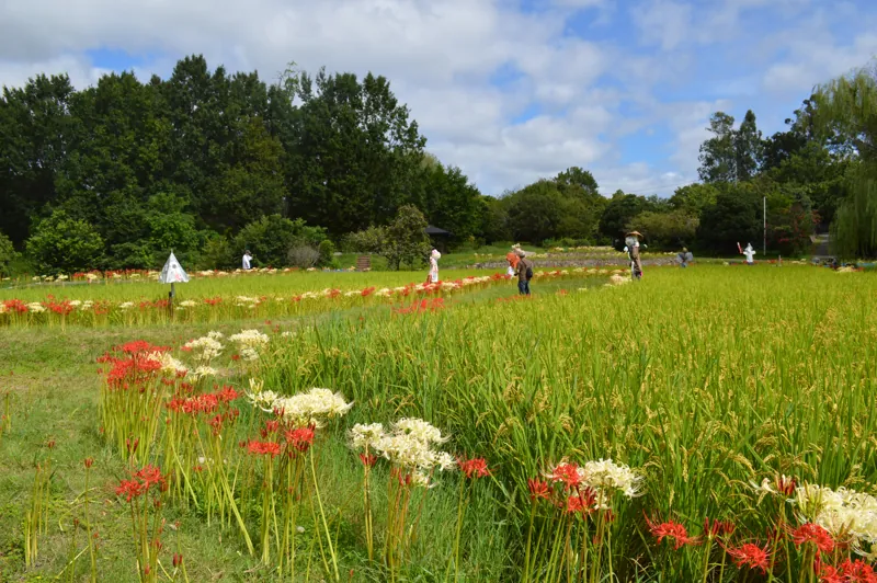 山田池公園