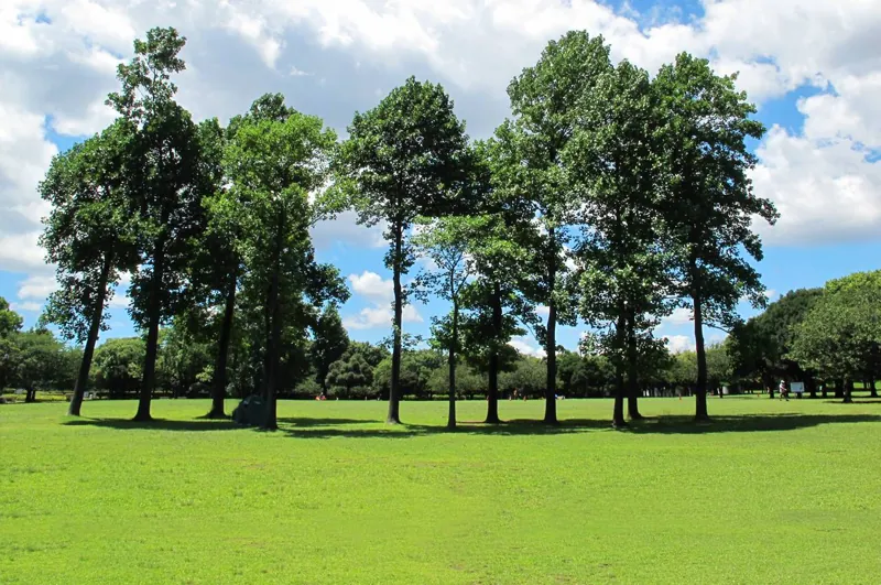 岸根公園