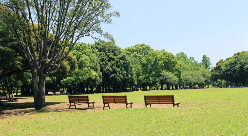 岸根公園 3