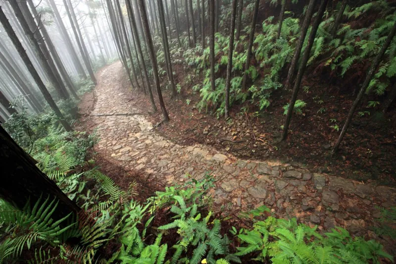 熊野古道 発心門王子〜熊野本宮大社