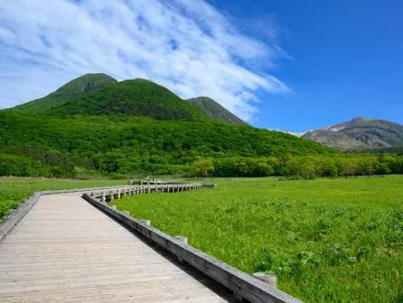 タデ原湿原