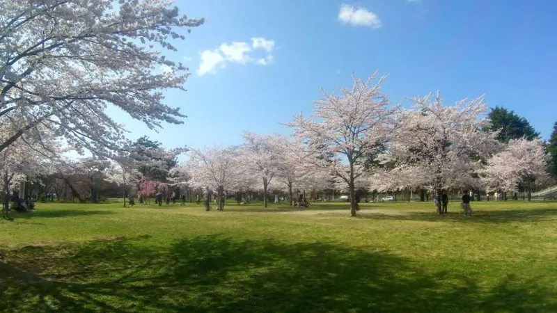 西公園