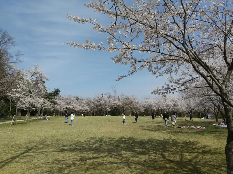 赤坂山公園 2