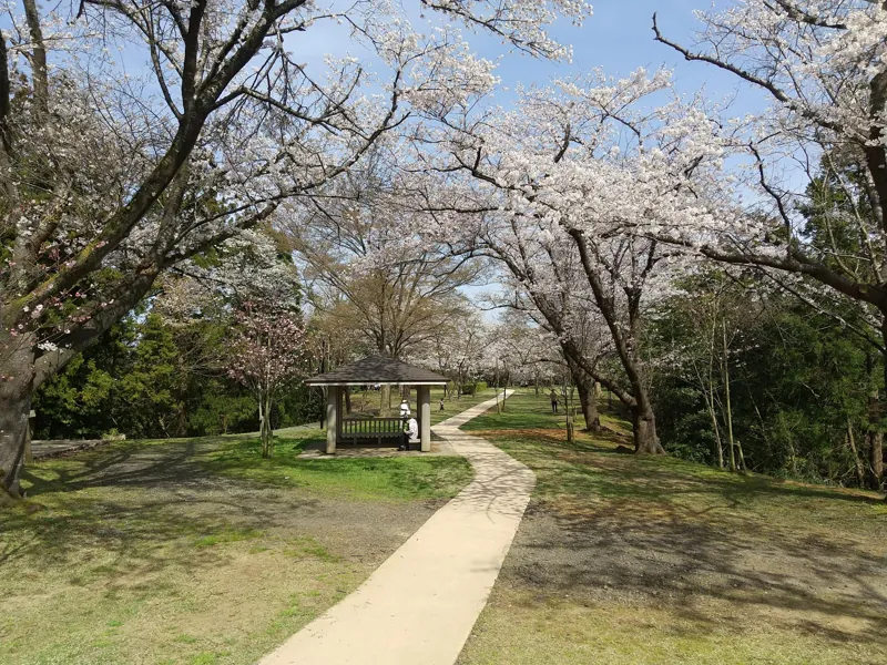 赤坂山公園 3