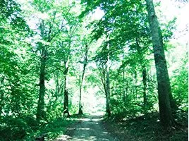 小国町マタギの郷交流館 2
