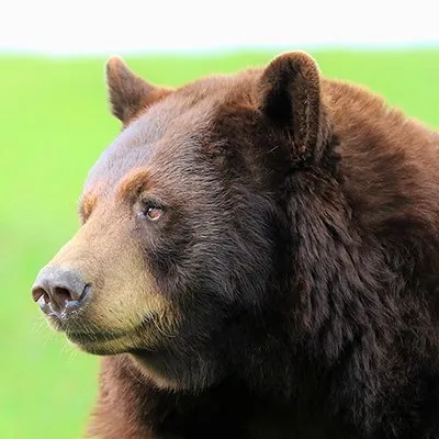 九州自然動物公園アフリカンサファリ 2