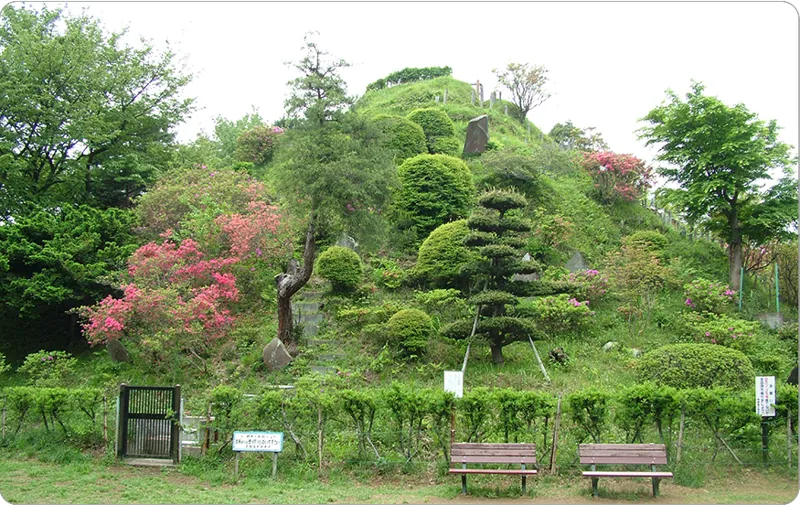 荒幡富士