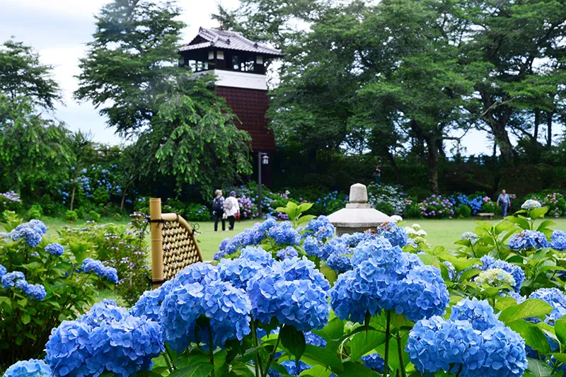 黒羽城址公園