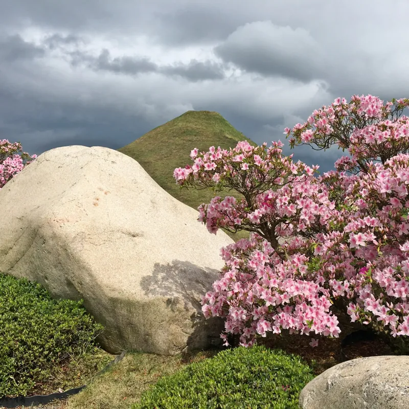 仙石庭園 1