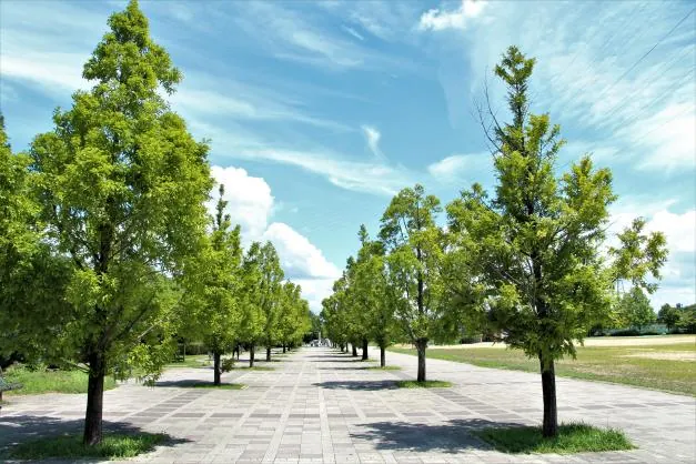 高浜総合公園 2