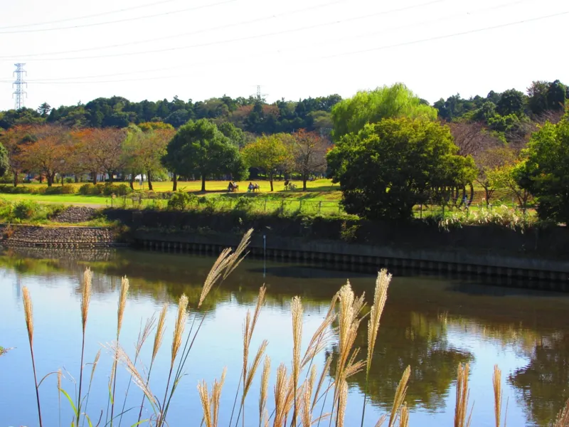 北柏ふるさと公園