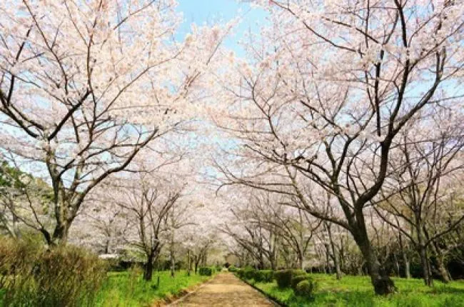 太宰府市民の森