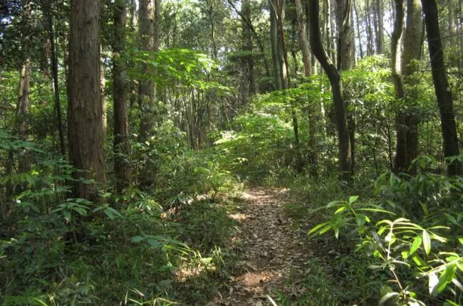 太宰府市民の森 2