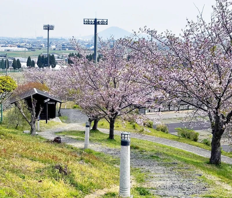 鉢伏ふれあい公園 1