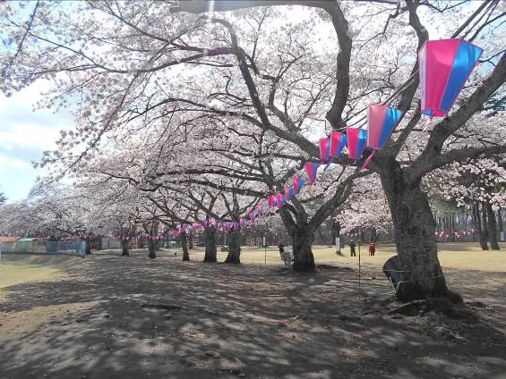 黒磯公園