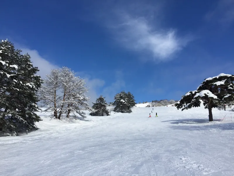 大仙市営 協和スキー場