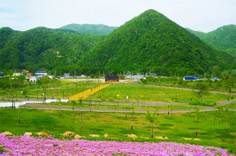 小金湯さくらの森 3