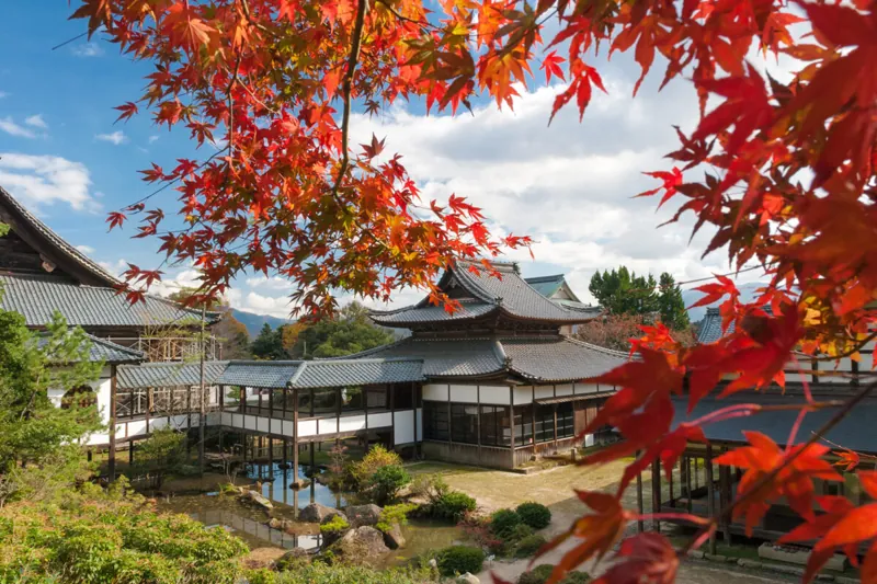 西福寺 1