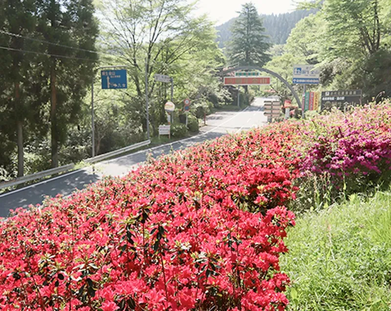 地底博物館 鯛生金山 2