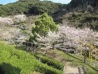皿山公園 2