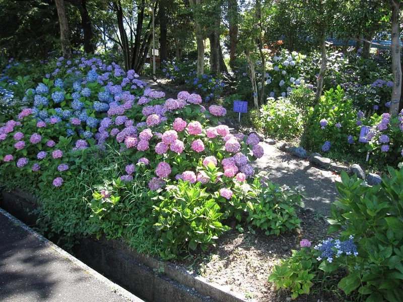 万葉の里  公園